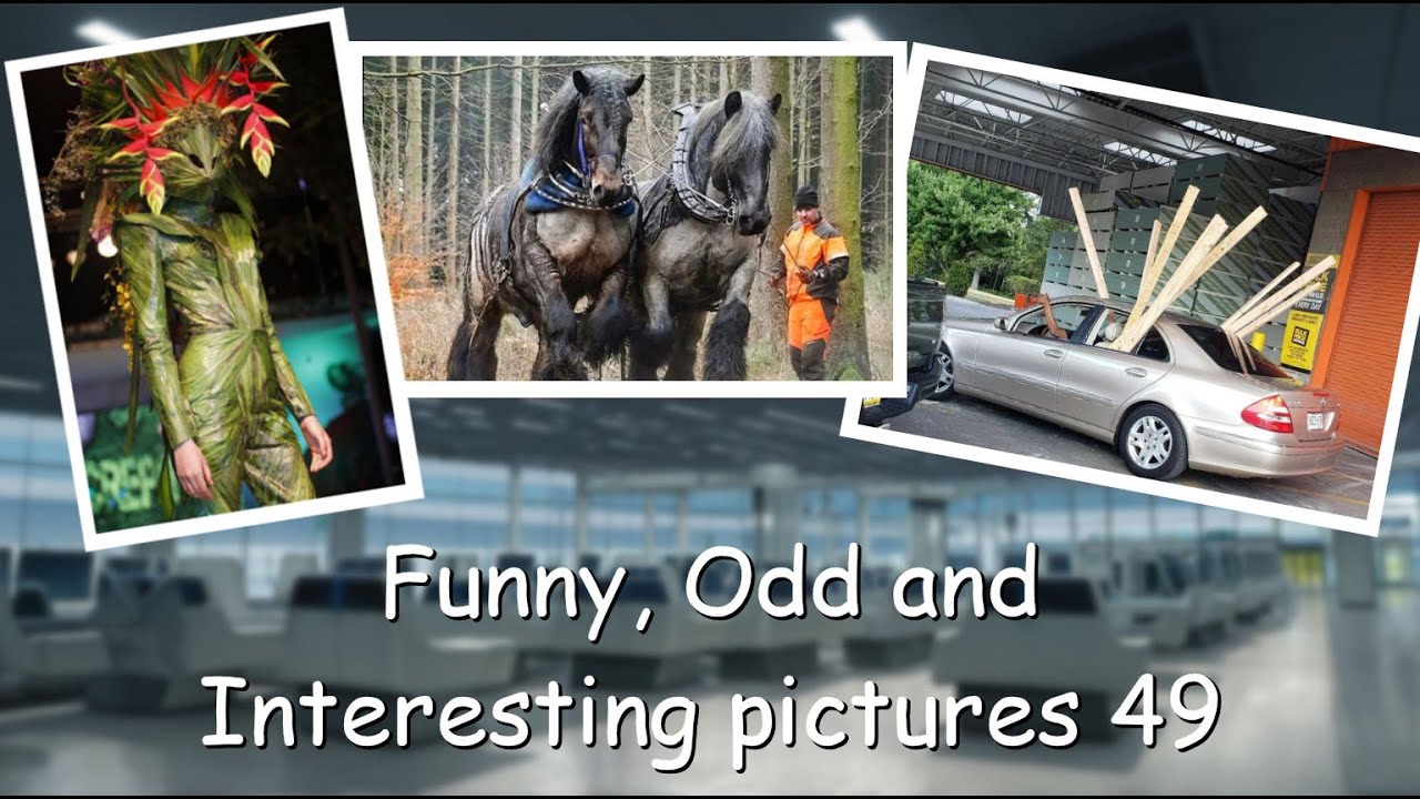 Funny, Odd, Interesting Pictures Video 49