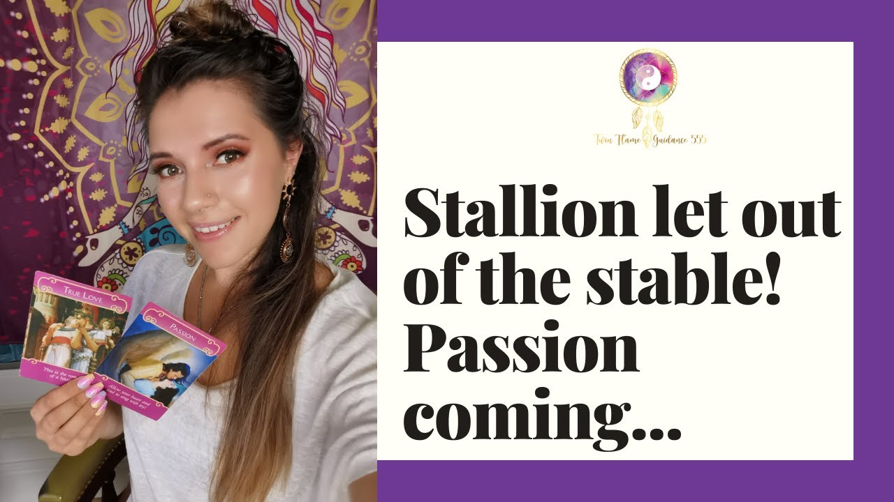 TWIN FLAME READING | The stallion is let out the stable! DM 