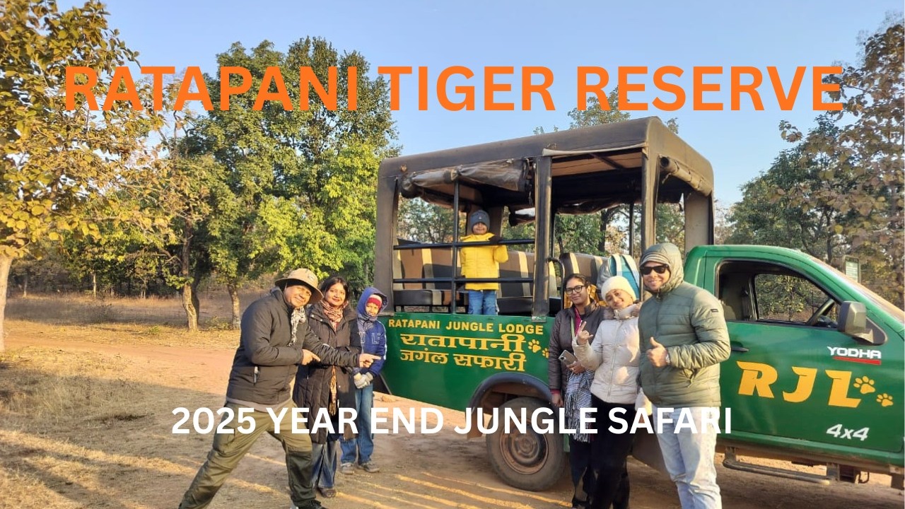 2025 Year Eve Jungle Safari - RATAPANI TIGER RESERVE | Bhopal