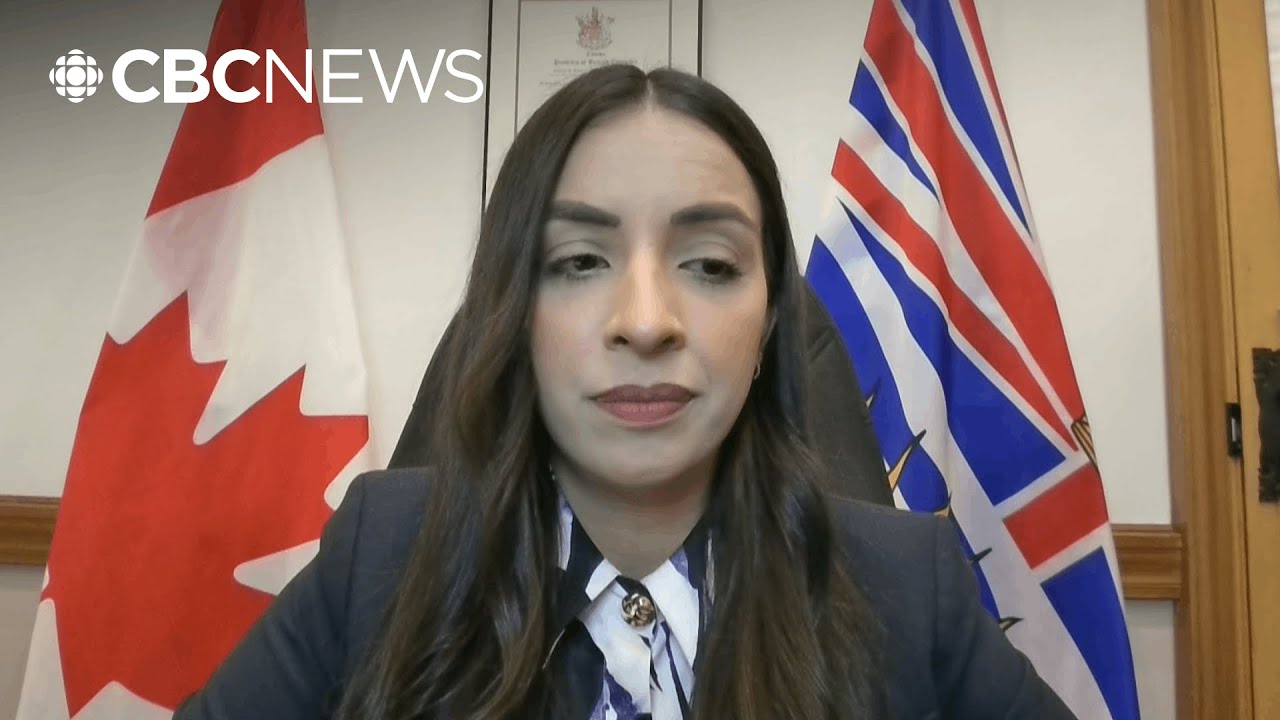 Why the B.C. government is launching a review of the post-secondary education sector