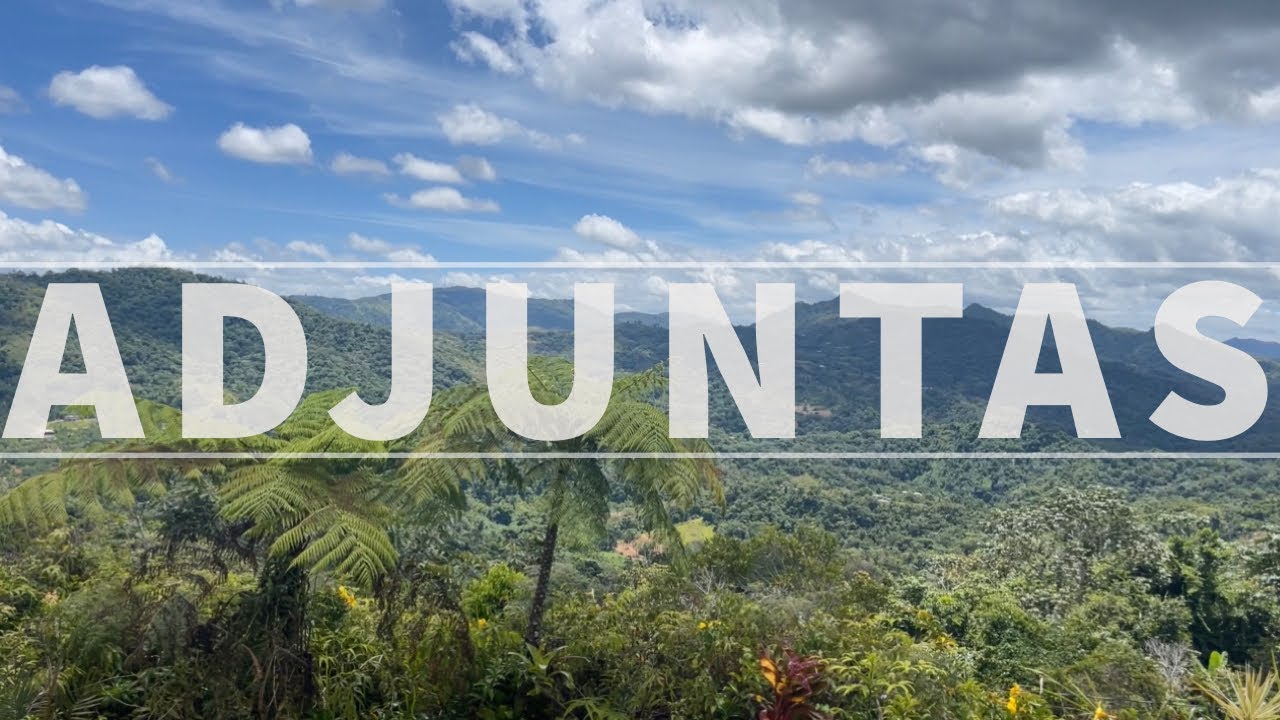 Coffee Farm | Adjuntas, Puerto Rico