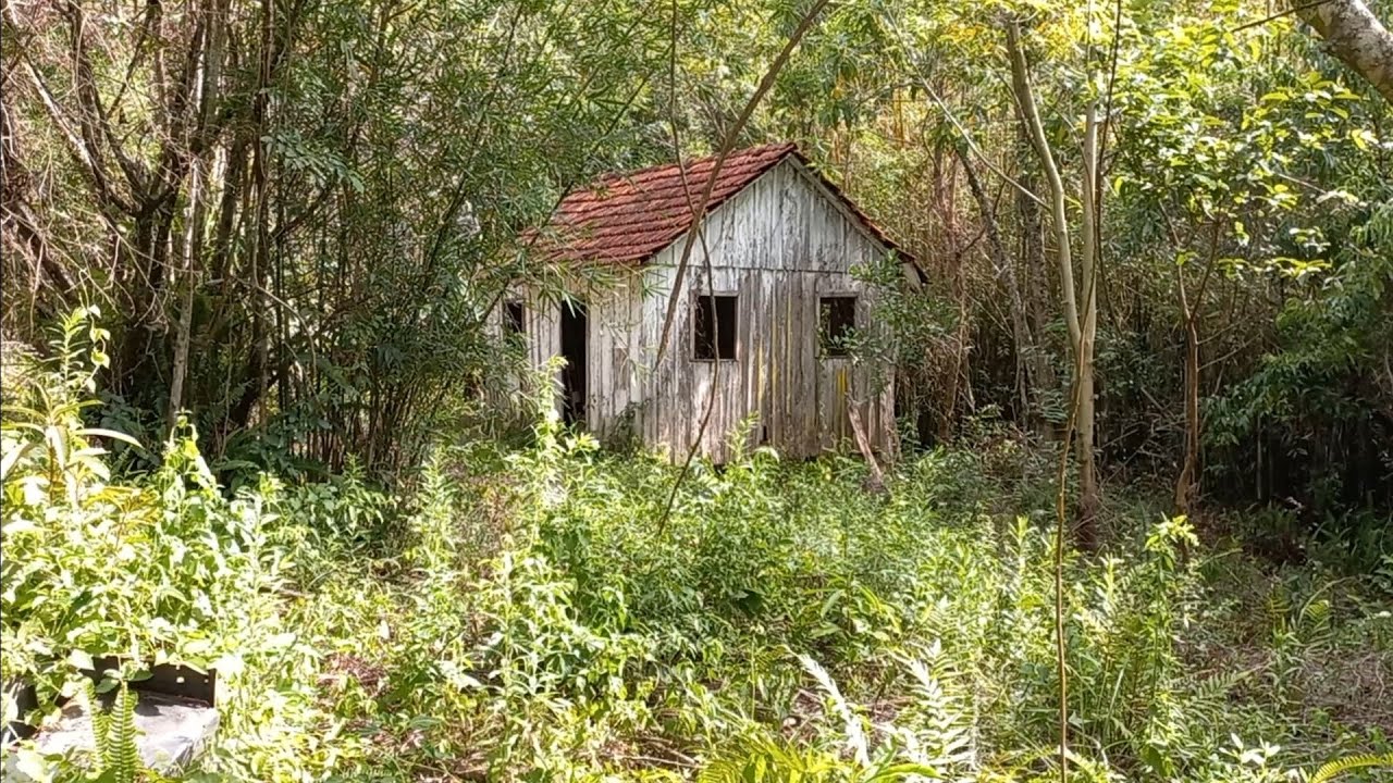 casa velha de madeira abandonada