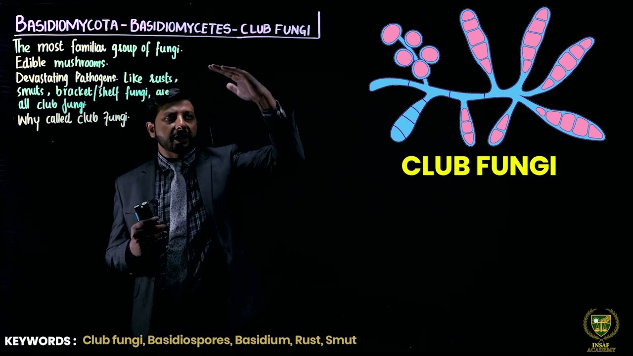 Basidiomycota || 11TH BIOLOGY || CHP 8 || LECTURE 9 ||