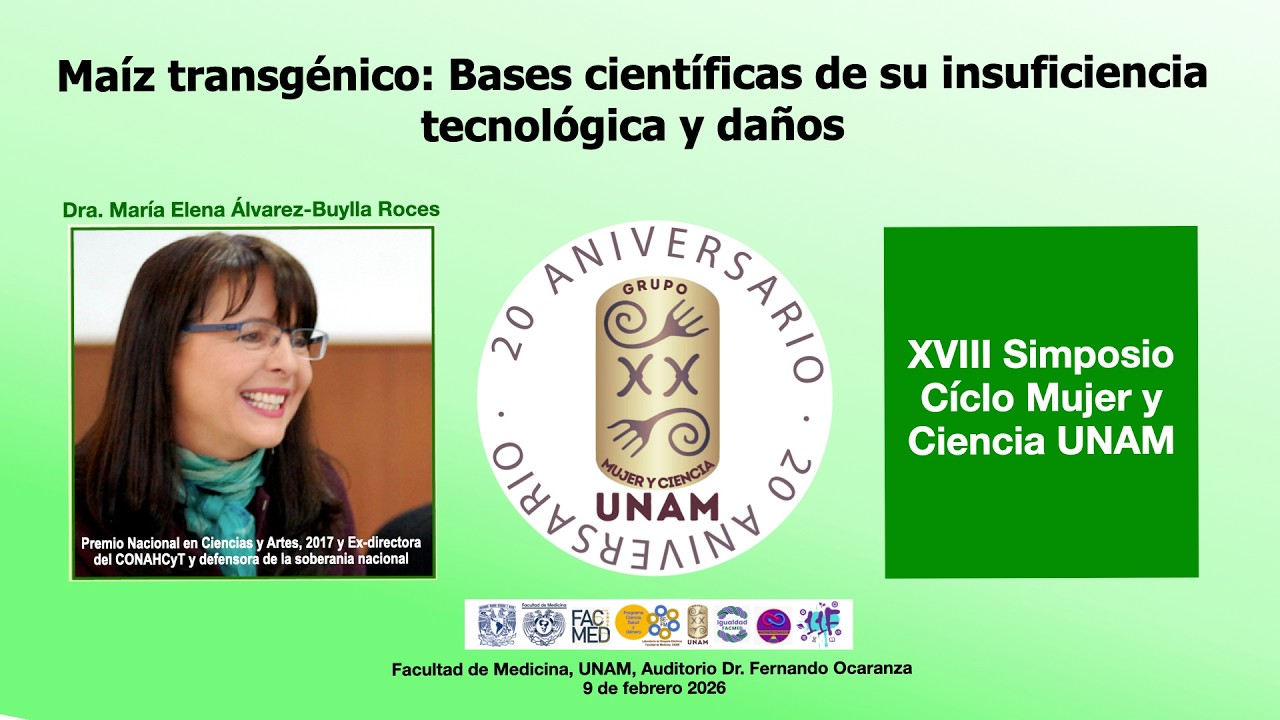 Maíz transgénico: acerca de su  insuficiencia tecnológica y daños. Dra. Elena Álvarez-Buylla Roces,