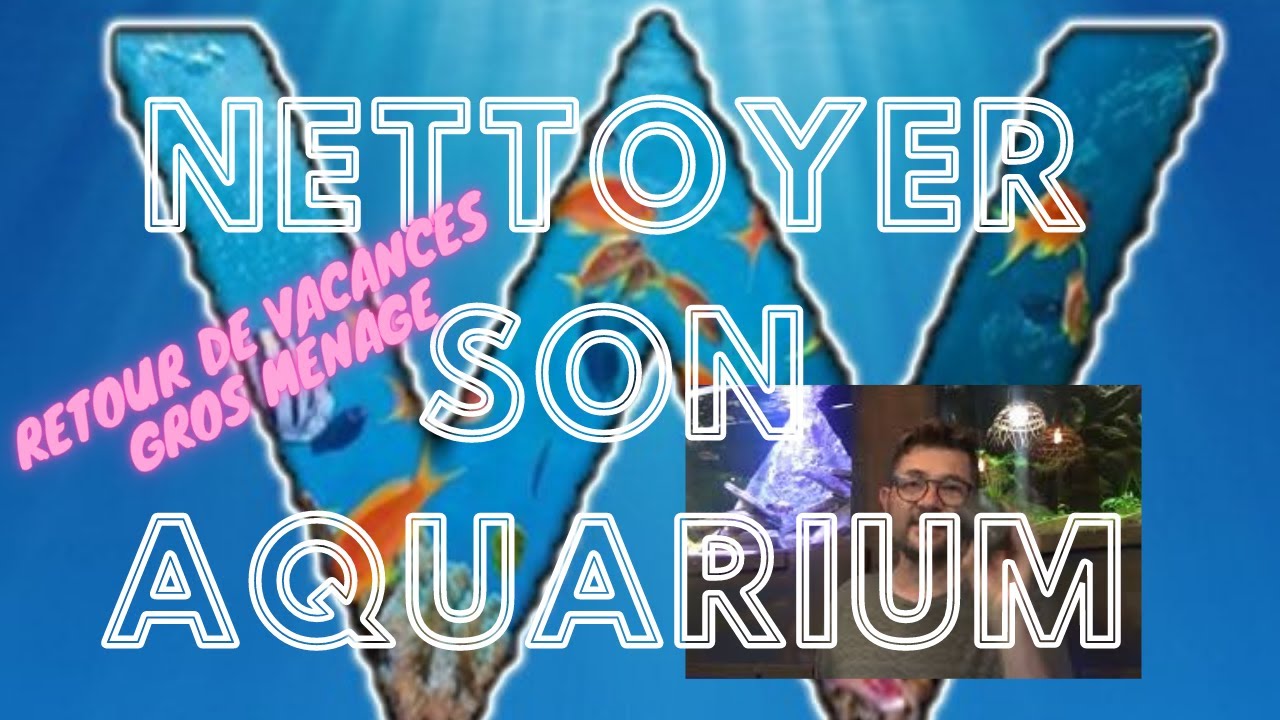 Nettoyage aquariums et Ancistrus