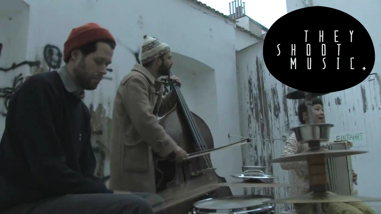 Elfin Saddle - Running Sheep / THEY SHOOT MUSIC