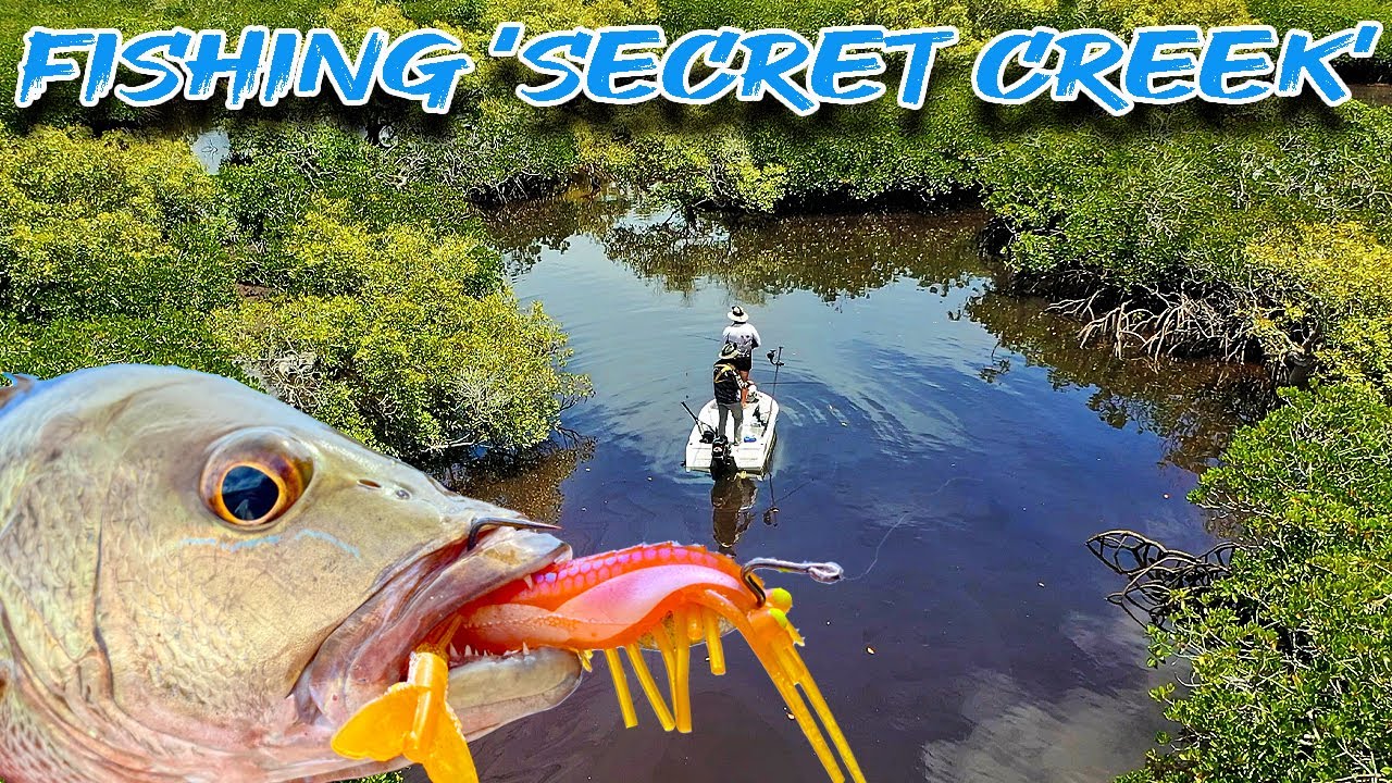 Skip casting Shrimp for Mangrove Jacks