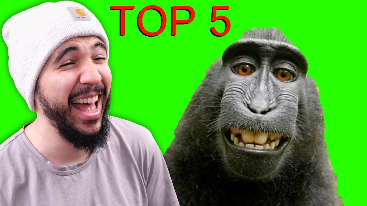 CES TOPS 5 M'ONT DÉTRUIT 🤣