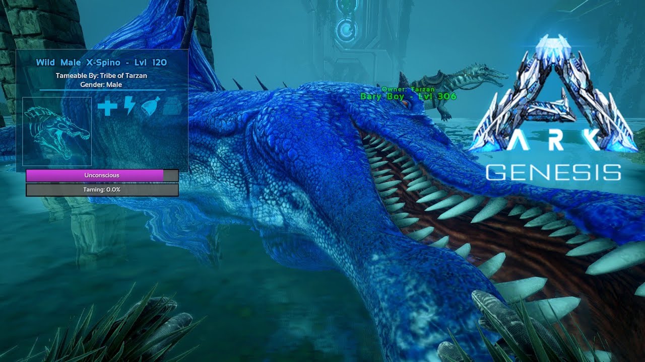 Easy Spino | X-Spino Tame