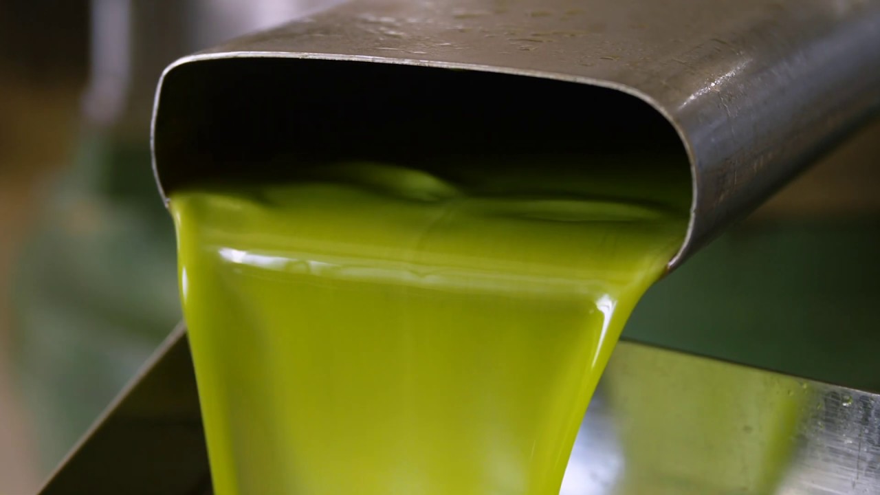 Oleoestepa Extra Virgin Olive Oil Production Campaign Video