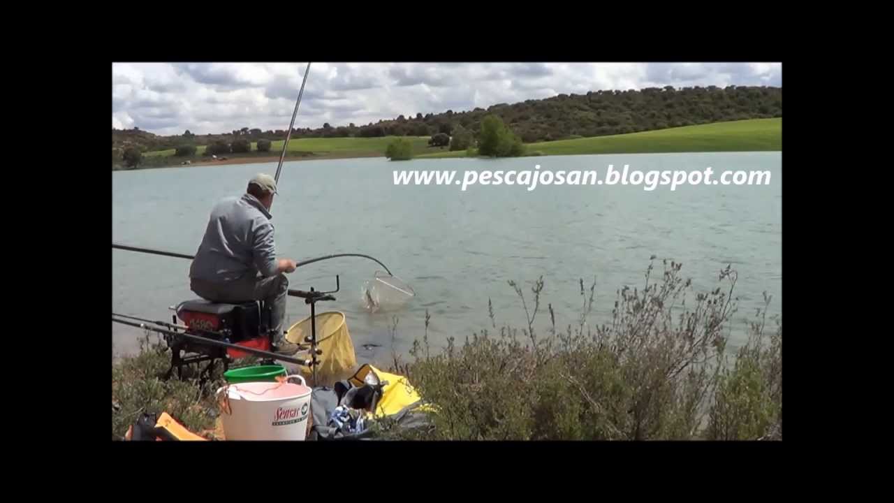 Pesca con enchufable en Alarcón