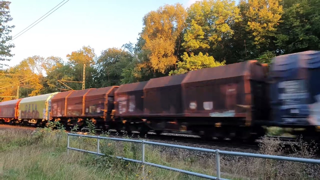 DB Cargo - BR186 - Cargo Train with Graffiti - speeding past in glorious sunset #trains #UHD #4k