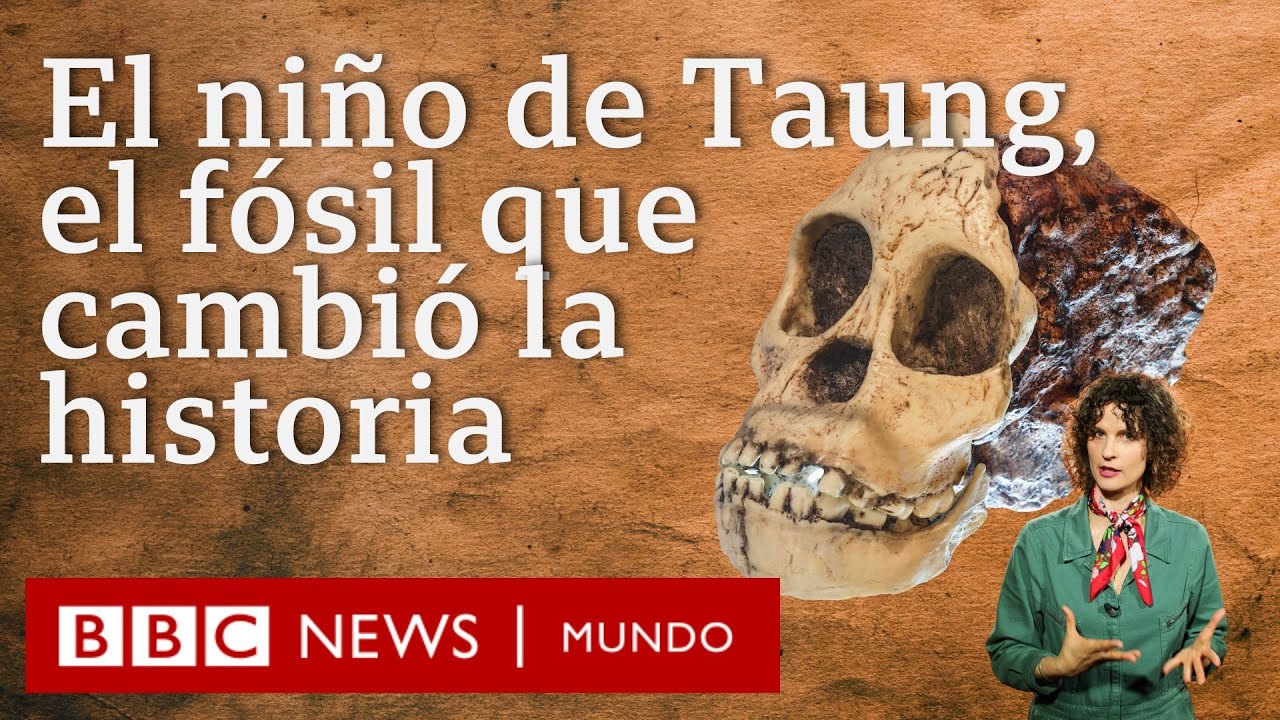 El ni&ntilde;o de Taung, el f&oacute;sil que cambi&oacute; la historia probando que los humanos se originaron en &Aacute;frica