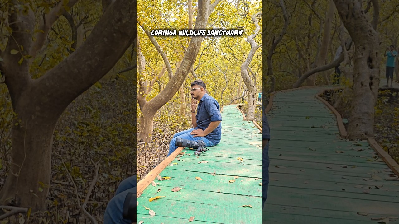 My 30 Days Wild Life Challenge! 5 అద్భుతమైన ప్రదేశాలు 🦁🔥! don't miss?