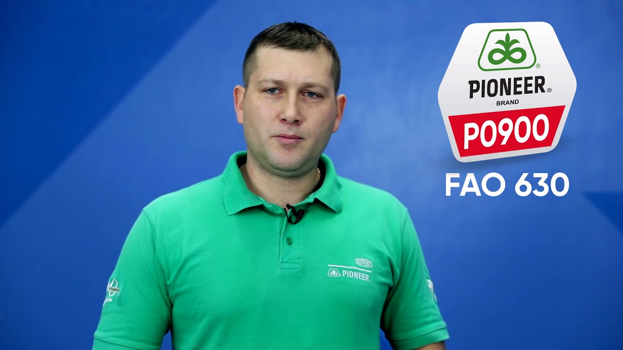 Pioneer prezentacija 2021. - region Zapadna i Juzna Backa