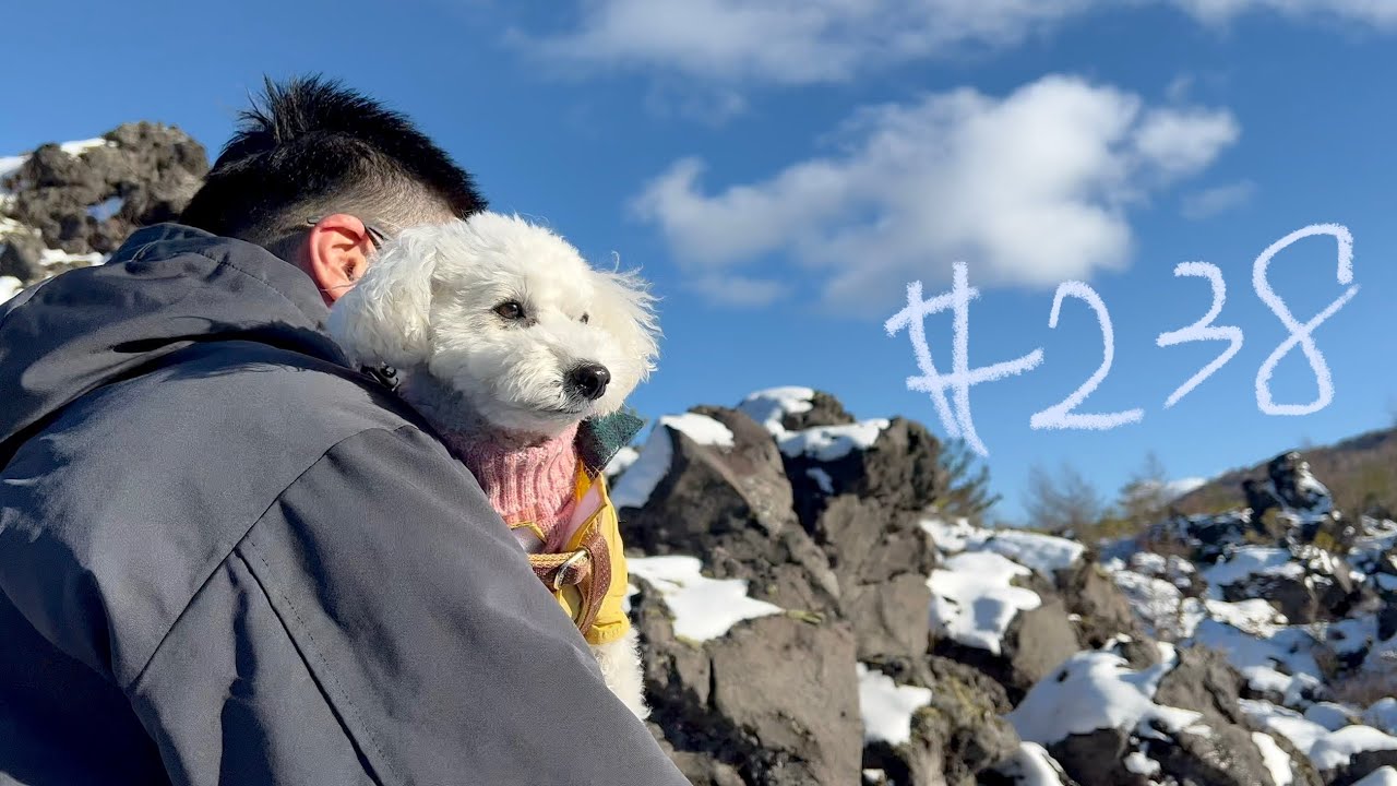 冬の雪が積もった鬼押出し園をトイプードルととことんお散歩（軽井沢2日目後編） iPhone vlog 4K HDR #238
