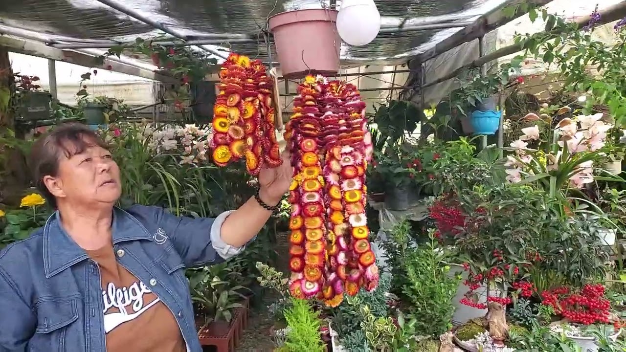 Nice Place a lot of different Flower Plants @Botanical Garden ⚘️❤️🥰