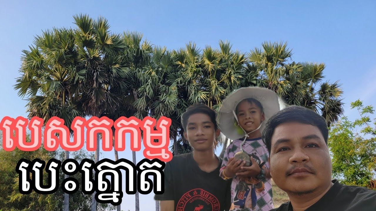 បេសកកម្មបេះត្នោត