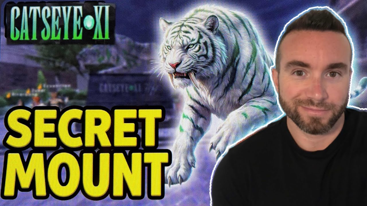 How to Find All 10 Golden Tigers in Lower Jeuno | CatseyeXI 5th Anniversary Custom Mount Guide