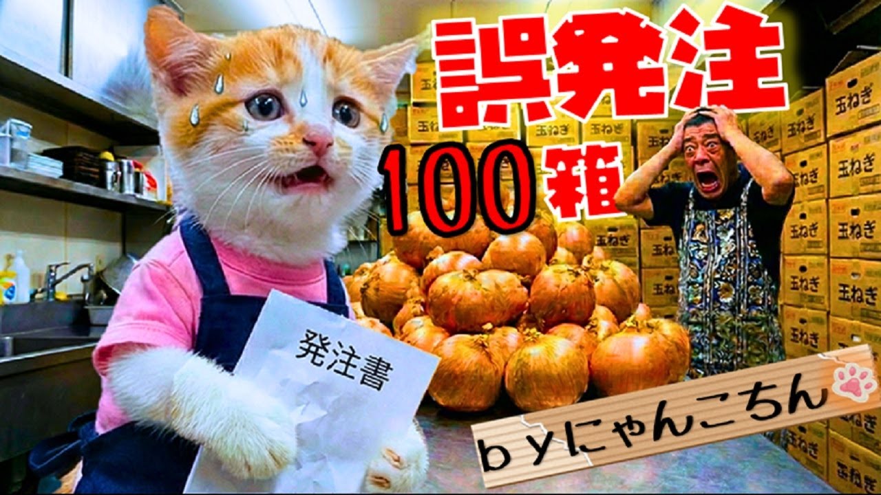【悲劇】いつもは平和な厨房が…誤発注の責任をとってメンチカツを揚げ続ける、激務の1日密着。【AI猫にゃんこちん】