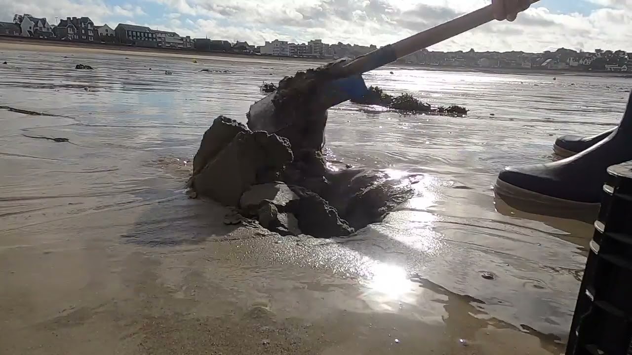 Une technique qui as toujours fait ses preuves.