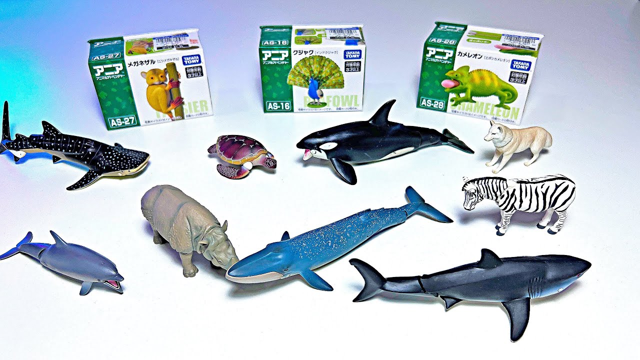 NEW ANIMALS - Peafowl, Tarsier, Chameleon, Shark, Orca, Turtle, Rhino, Lion, Manta Ray, Giraffe