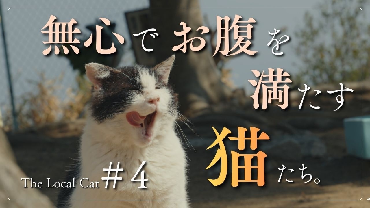 仲良くもぐもぐタイム。【＃４】