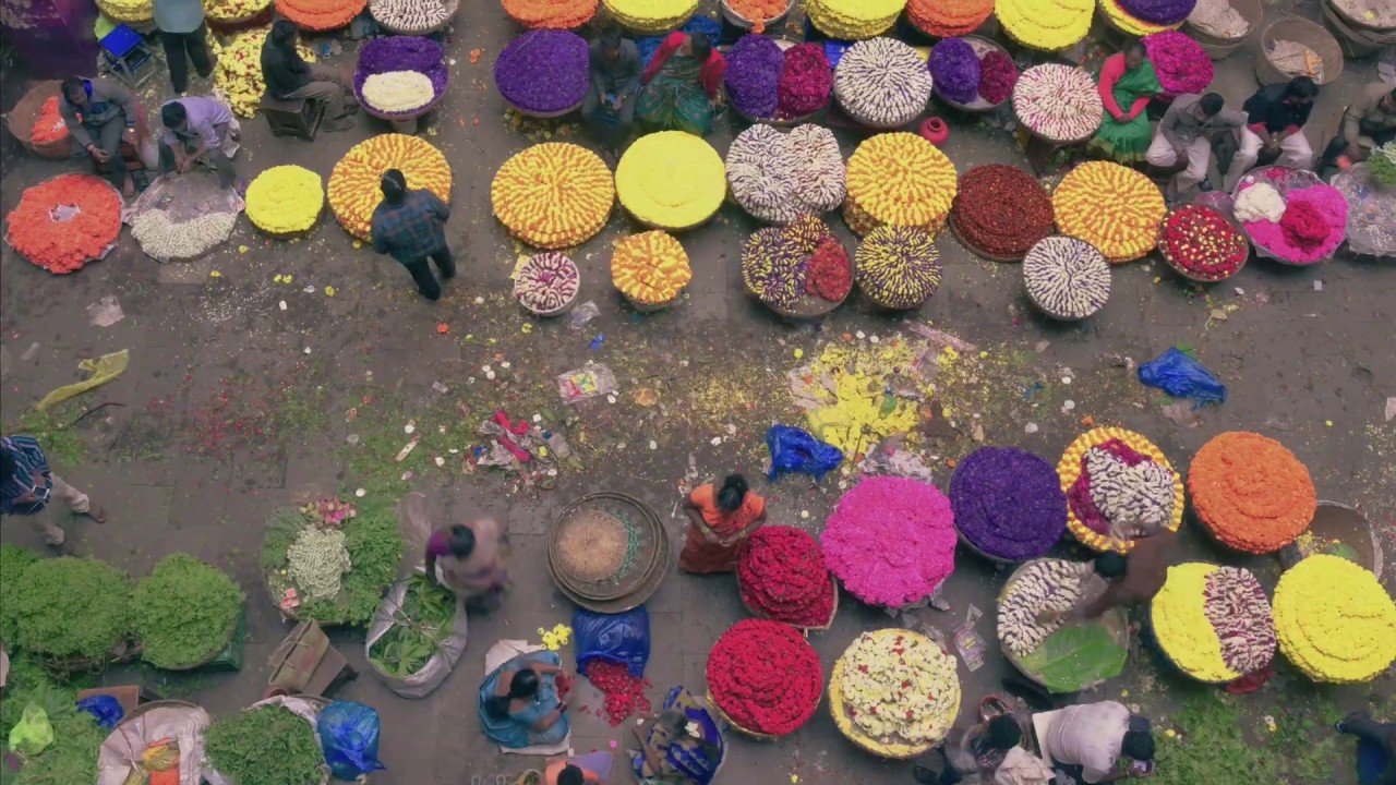 New connection: Delhi