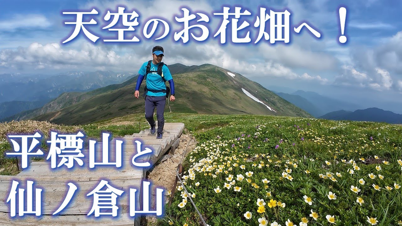 天空のお花畑へ！【花の名山・平標山&仙ノ倉山】絶景の稜線と高山植物の楽園へ、東京から新幹線を使って日帰り登山します！（2025/6/20）