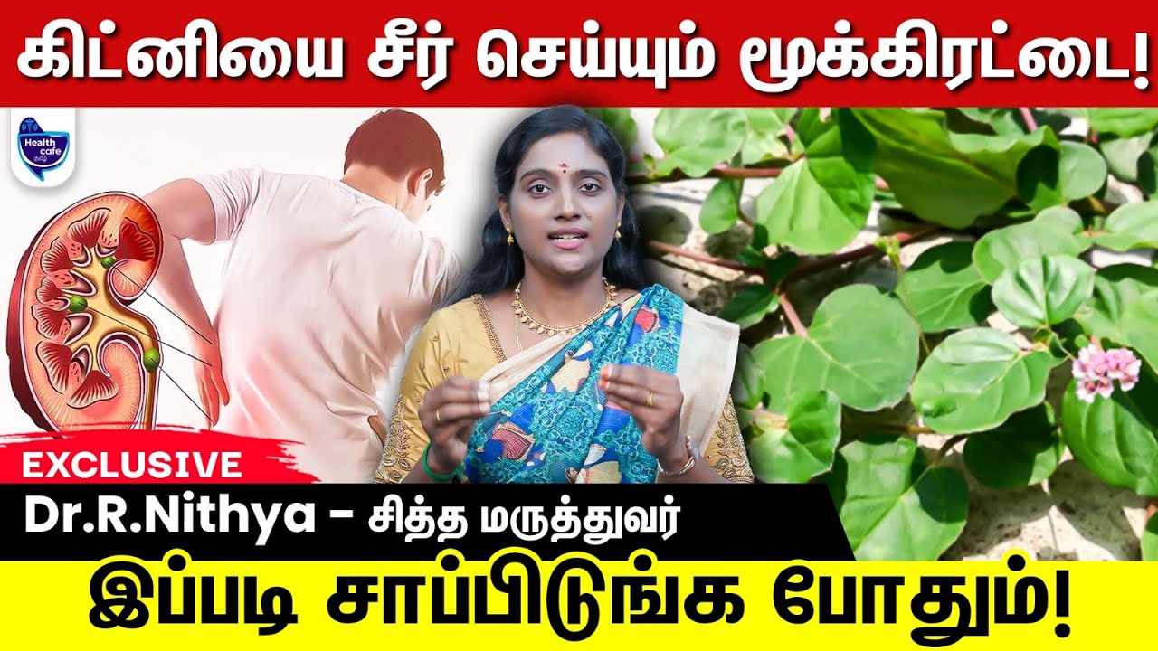 உங்க கிட்னி நல்லா இருக்கணும்னா.. இதெல்லாம் சாப்பிடுங்க !