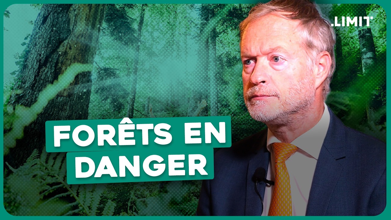 POURQUOI LA FORÊT S'EFFONDRE - Marc-André Selosse | LIMIT