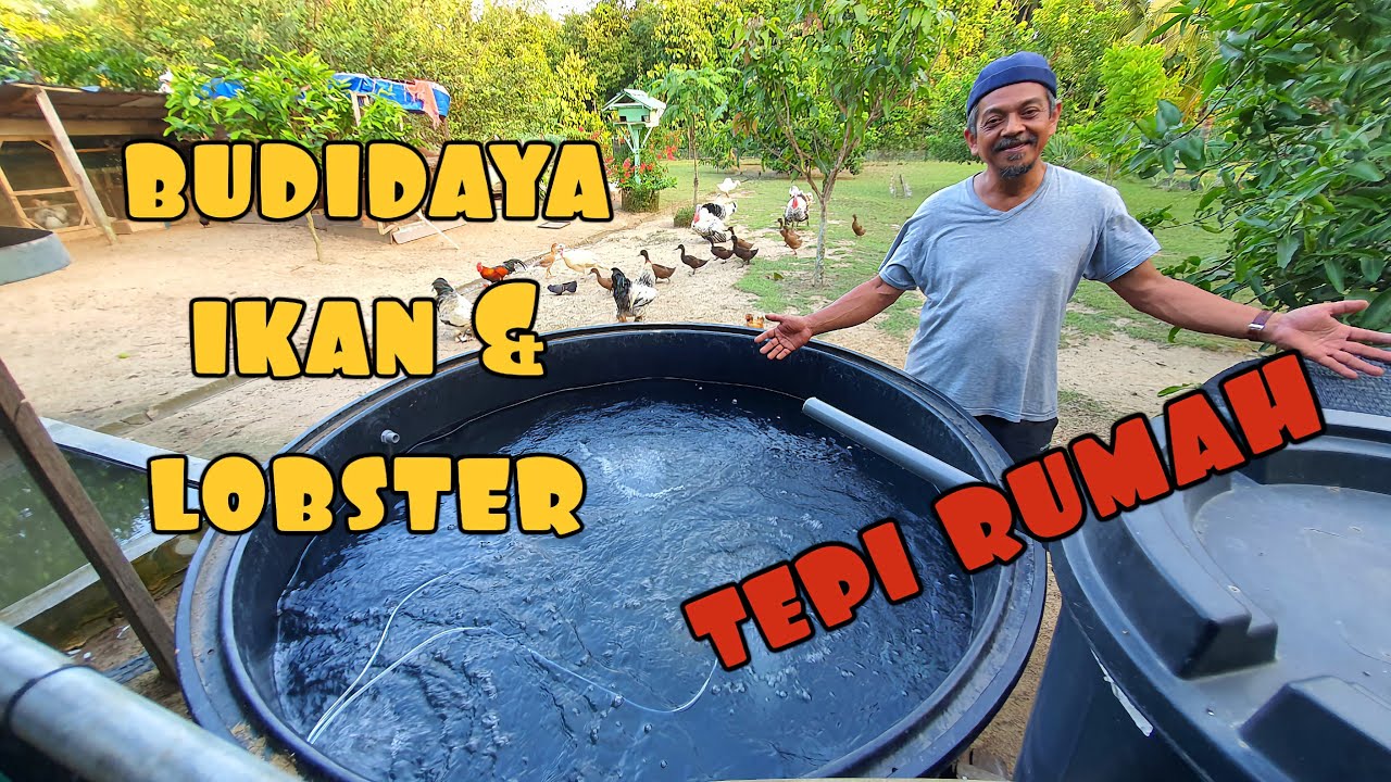 ✅️ LANGKAH AWAL || TANGKI INI BAKAL LAHIRKAN RIBUAN SUMBER PROTEIN