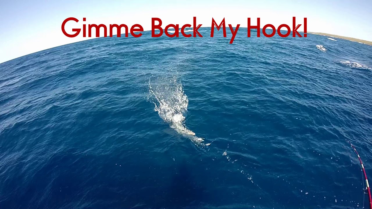 Shallow Bottom Sessions 1