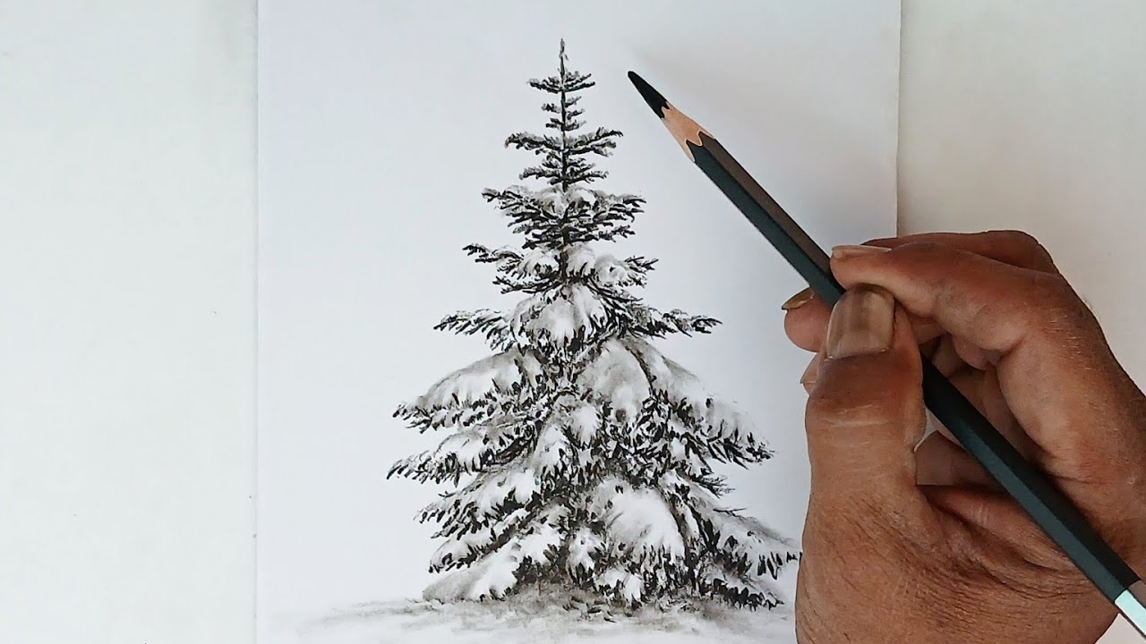 How to draw a snowfall tree by pencil with easy ways.
