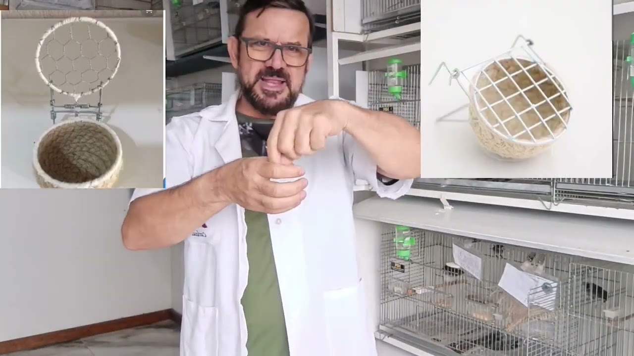 Cuidado com Filhotes 
