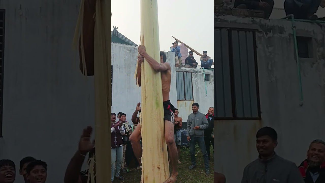 কলা গাছে উঠার প্রতিযোগিতা 