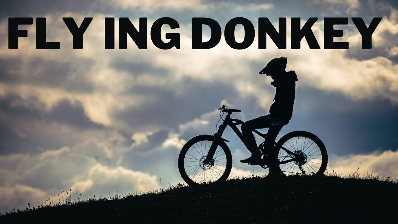 The Coolest MTB Trail in California: Box Springs MTB M Trail! #mountainbike #bicicleta