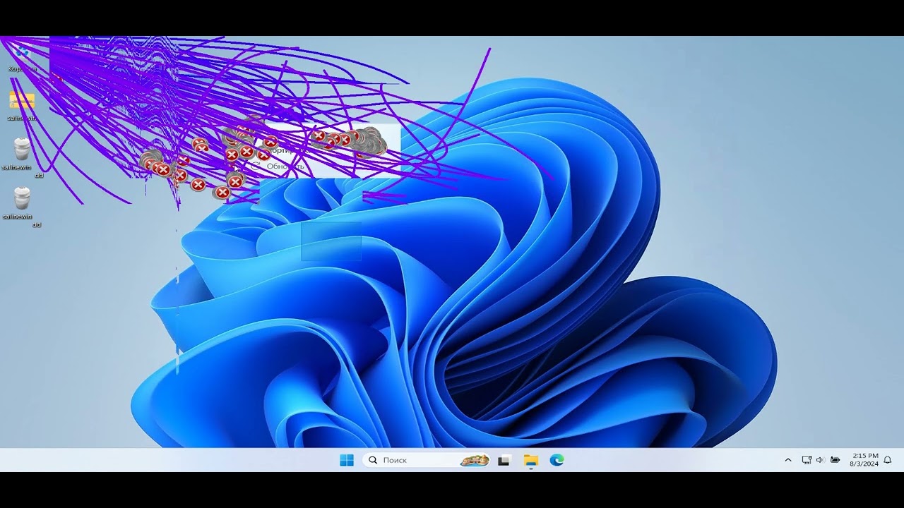 Windows Sandbox, Salinewin.exe