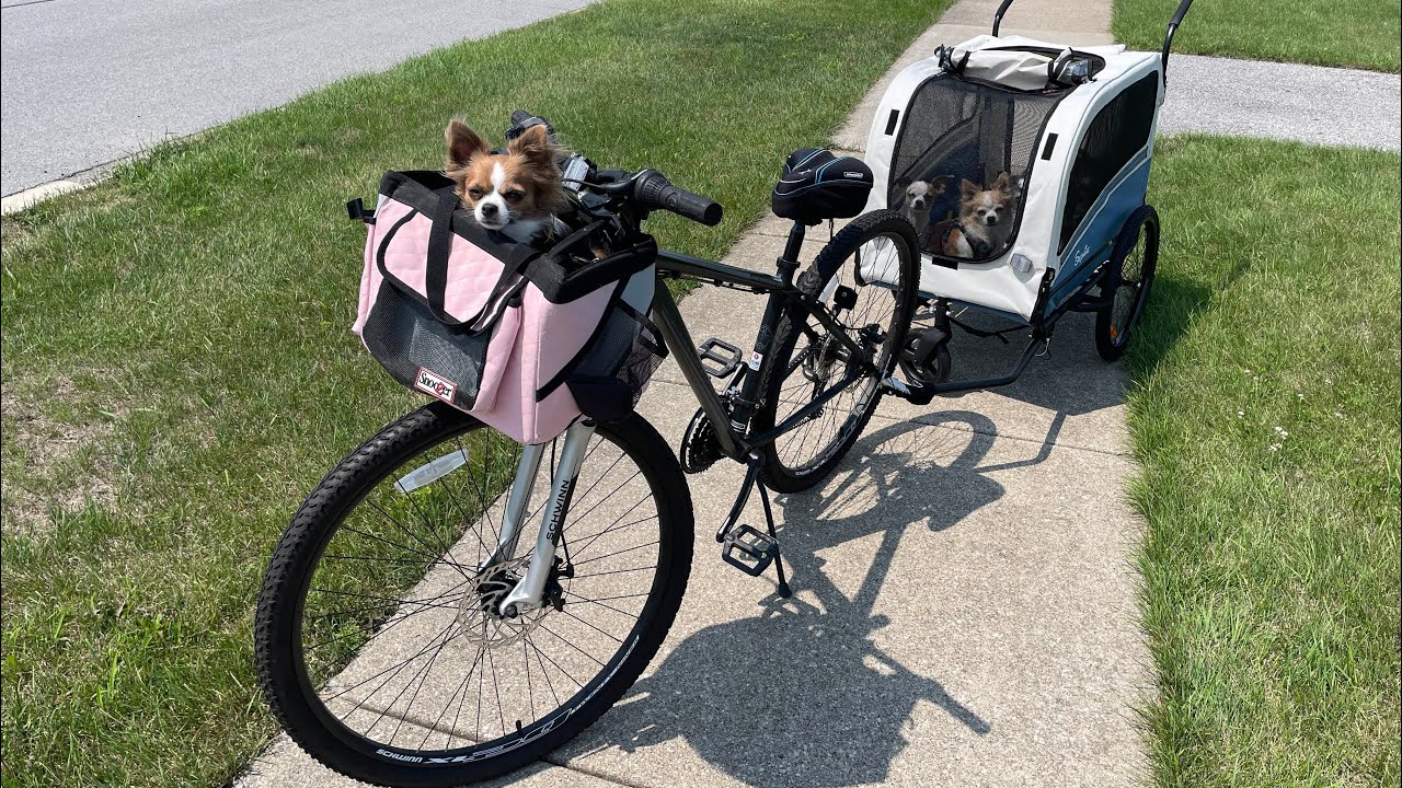 We got a dog bike trailer! Sepnine dog bike trailer review 🐾🚲