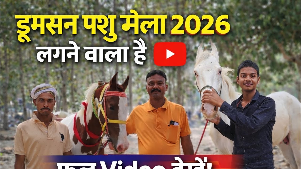 डुमरसन पशु मेला 2026 लगने वाला है 🐴💯 #youtube #vlog #trending #video #viral #trending #vlog #viral 
