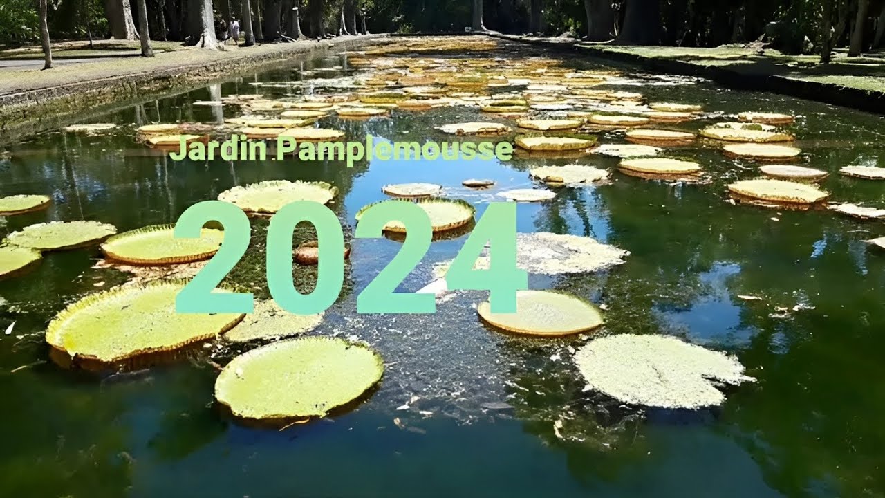 Île Maurice Jardin Pamplemousse 2024🇲🇺
