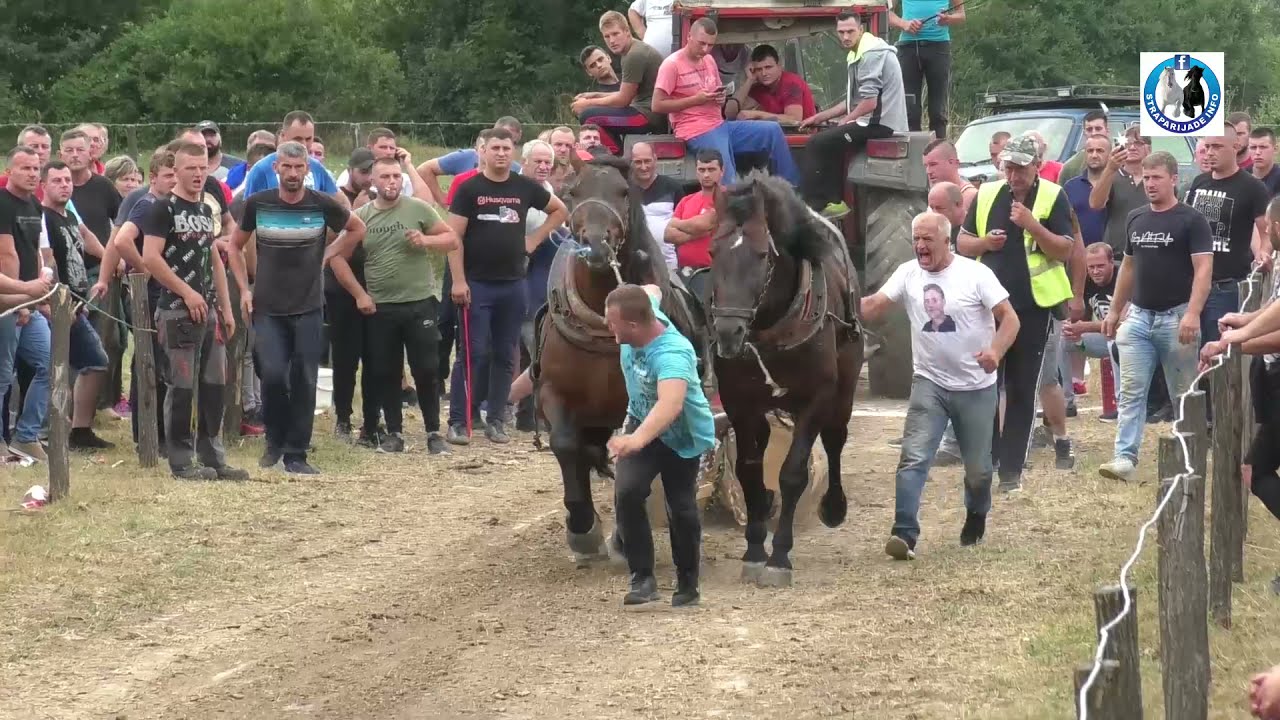-Rasim Mešić (Soko i Cvjetko ) šampioni srednje u Brestovu -