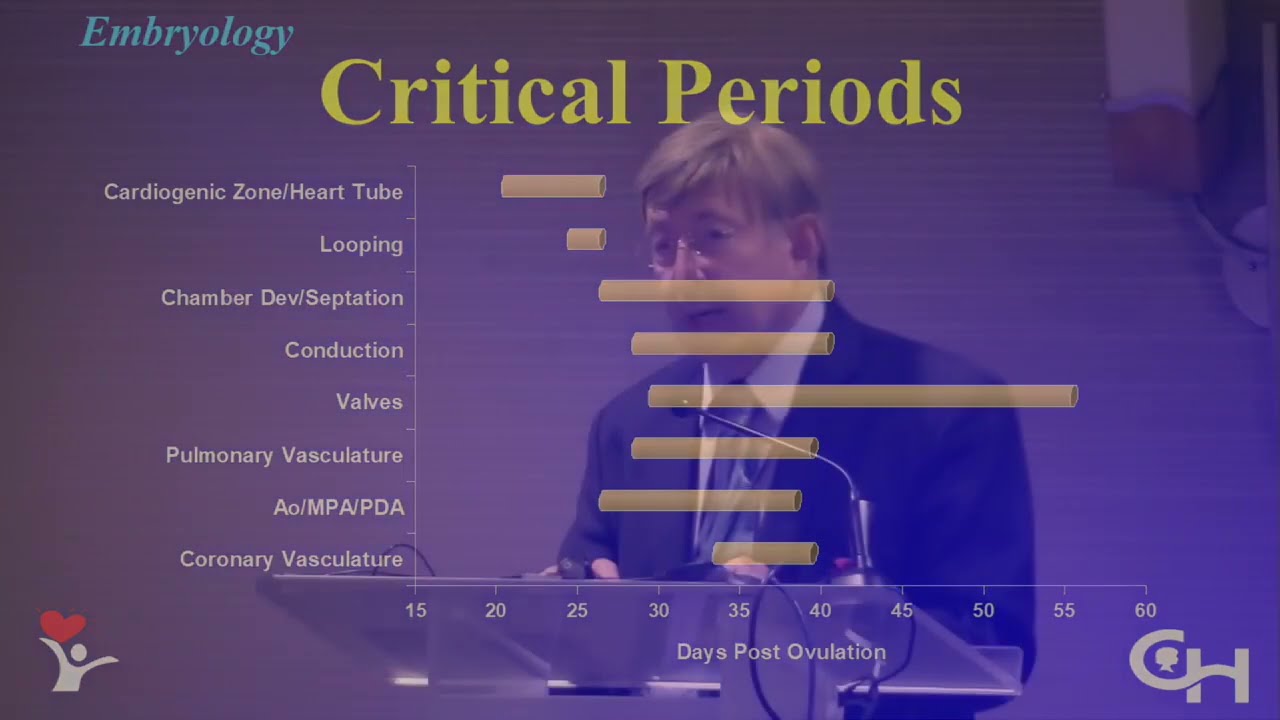 Overview of Congenital Heart Embryology and Anatomy by Paul M. Weinberg, M.D., FAAP, FACC