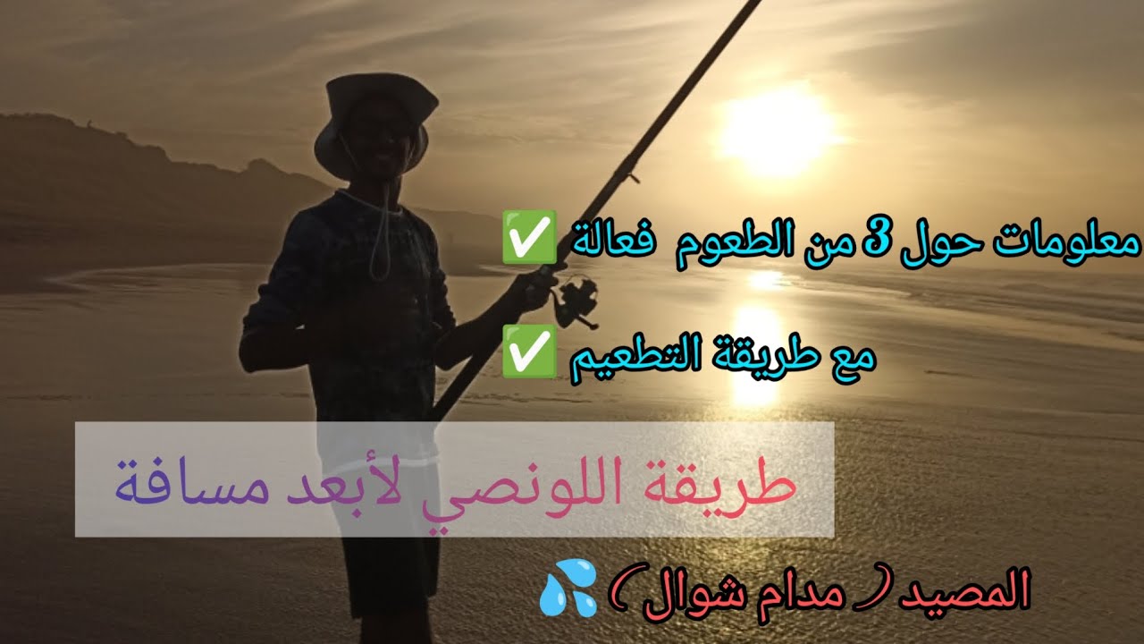 الطريقة الصحيحة للصيد من الشاطئ 🌊 مع حصيلة لا بأس بها ✅ فرجة ممتعة ( مادام شوال )😍