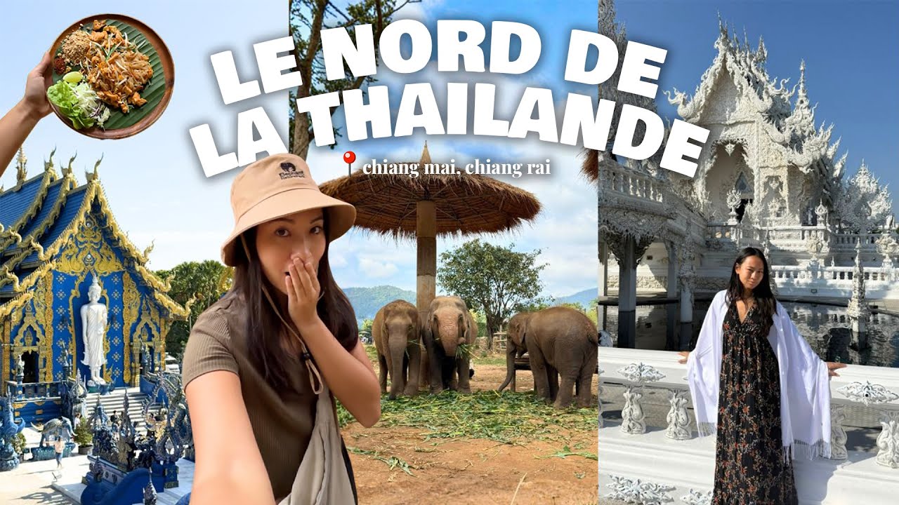 Chiang Mai/Chiang Rai : gros COUP DE COEUR pour le Nord de la Thaïlande 🥺❤️