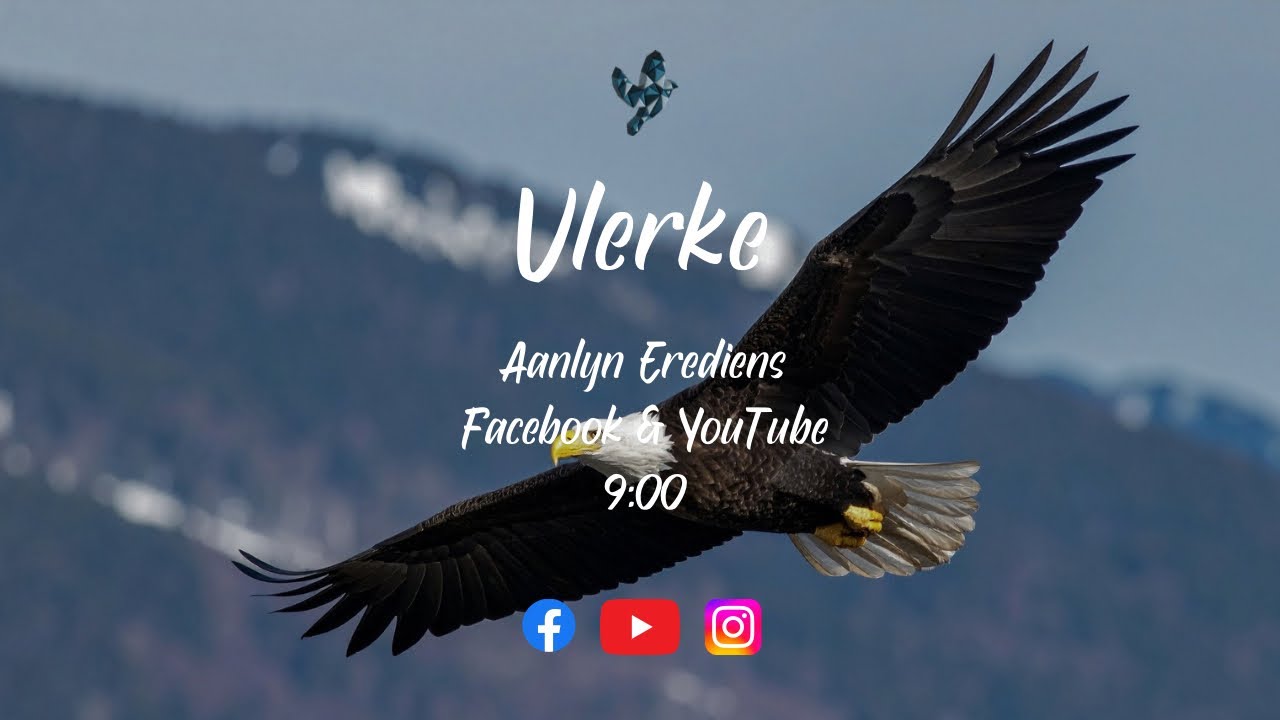 Handelinge Aanlyn | Vlerke | Elmore