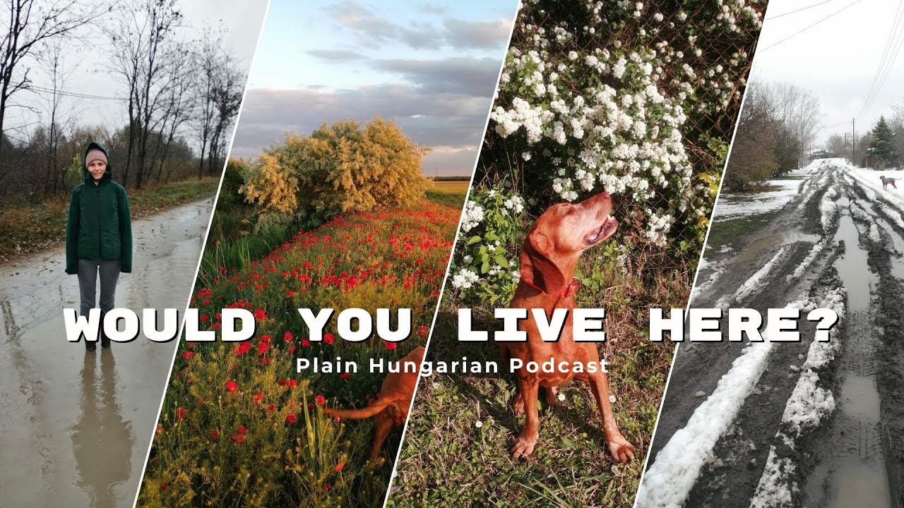 Would you live here? - My life in the countryside #36 podcast