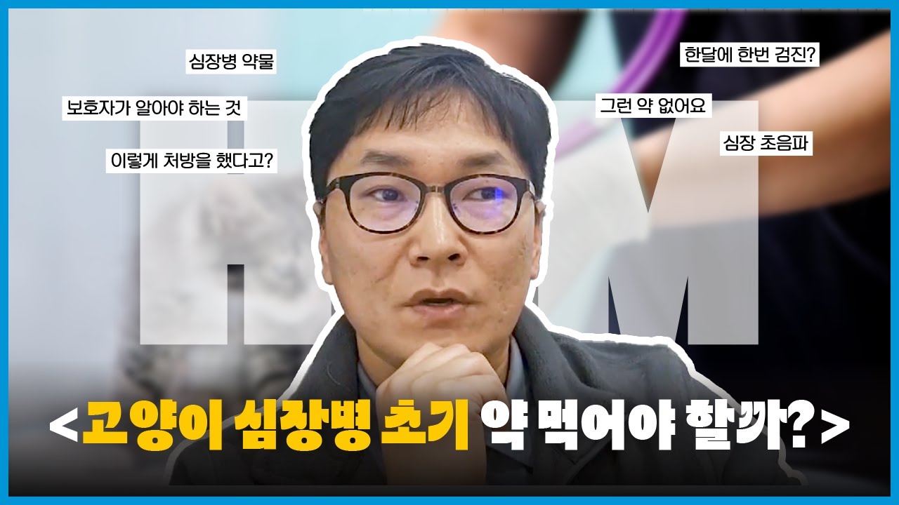고양이 심장병 초기인데 약을 먹인다고?🙀｜HCM 약물의 모든 것💊｜달 마다 검진봐야 하나요?｜그런 약.. 없습니다👨🏻‍⚕️｜보호자가 알아야 하는 것!