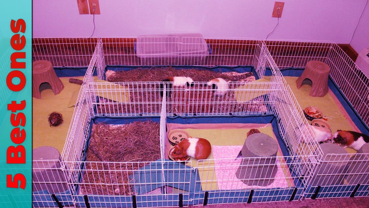 Top 5 Best Rabbit Cages Reviews 2021