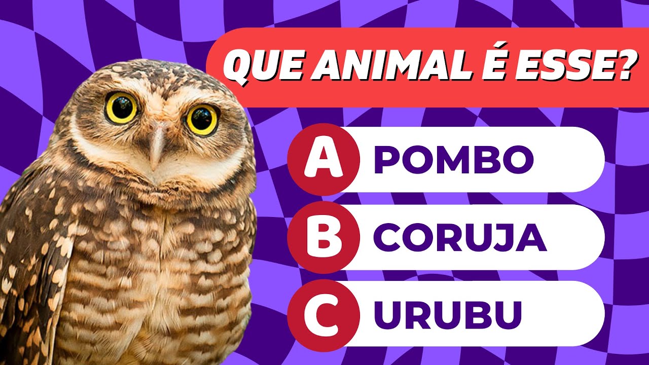 ⚡️ ADIVINHE O ANIMAL PELA FOTO 🦁🦓 - ZOOM PLAY QUIZ🐘